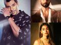 Pavail Gulatie Wraps Up Shooting for Shahid Kapoor & Pooja Hegde's Action Drama Deva - Hindi News | Pavail Gulatie Wraps Up Shooting for Shahid Kapoor & Pooja Hegde's Action Drama Deva | Latest entertainment News at Lokmattimes.com