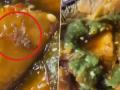 Ghaziabad: Man Finds Dead Spider Inside Samosa, Shocking Video Goes Viral! - Hindi News | Ghaziabad: Man Finds Dead Spider Inside Samosa, Shocking Video Goes Viral! | Latest social-viral News at Lokmattimes.com