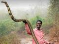 Kerala's famous snake catcher Vava Suresh discharged after cobra bite - Hindi News | Kerala's famous snake catcher Vava Suresh discharged after cobra bite | Latest national News at Lokmattimes.com