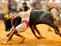 Jallikattu event in Tamil Nadu turns tragic, 29 hospitalised - Hindi News | Jallikattu event in Tamil Nadu turns tragic, 29 hospitalised | Latest national News at Lokmattimes.com