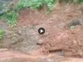Landslide in Maharashtra's Ratnagiri; Shocking Visuals Emerge From Sakholi, Dapoli Taluka (Watch Video) - Hindi News | Landslide in Maharashtra's Ratnagiri; Shocking Visuals Emerge From Sakholi, Dapoli Taluka (Watch Video) | Latest maharashtra News at Lokmattimes.com