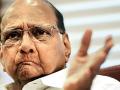 Sharad Pawar denies split again, says MLAs don't mean entire party - Hindi News | Sharad Pawar denies split again, says MLAs don't mean entire party | Latest maharashtra News at Lokmattimes.com