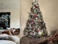 Christmas 2023: Amy Jackson shares glimpse of her celebration with son Andrea - Hindi News | Christmas 2023: Amy Jackson shares glimpse of her celebration with son Andrea | Latest entertainment News at Lokmattimes.com
