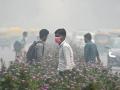 Delhi's air quality turns worse reaches near maximum level, 100 times of WHO's limits - Hindi News | Delhi's air quality turns worse reaches near maximum level, 100 times of WHO's limits | Latest national News at Lokmattimes.com