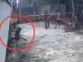 Naigaon Tragedy: 15-Year-Old Boy Dies of Electric Shock While Retrieving Shuttlecock During Badminton Game; CCTV Footage Surfaces (VIDEO) - Hindi News | Naigaon Tragedy: 15-Year-Old Boy Dies of Electric Shock While Retrieving Shuttlecock During Badminton Game; CCTV Footage Surfaces (VIDEO) | Latest maharashtra News at Lokmattimes.com