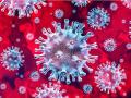 Coronavirus: Two individuals who returned to Mumbai from China kept under observation - Hindi News | Coronavirus: Two individuals who returned to Mumbai from China kept under observation | Latest international News at Lokmattimes.com