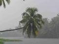 Arrival of monsoon to be delayed in Kerala - Hindi News | Arrival of monsoon to be delayed in Kerala | Latest national News at Lokmattimes.com