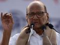 Will not align with BJP, instead work towards for change in 2024: Sharad Pawar - Hindi News | Will not align with BJP, instead work towards for change in 2024: Sharad Pawar | Latest maharashtra News at Lokmattimes.com