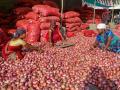 Onion prices rise amid festive season due to supply shortage - Hindi News | Onion prices rise amid festive season due to supply shortage | Latest national News at Lokmattimes.com