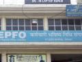 Govt approves four-decade low 8.1% interest on EPF deposits - Hindi News | Govt approves four-decade low 8.1% interest on EPF deposits | Latest national News at Lokmattimes.com