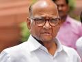 NCP's Goa unit pledges support to Sharad Pawar after Ajit Pawar's revolt - Hindi News | NCP's Goa unit pledges support to Sharad Pawar after Ajit Pawar's revolt | Latest national News at Lokmattimes.com