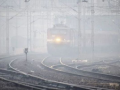 North India Gripped by Cold Wave: 26 Trains Delayed Due to Low Visibility – Full List Inside - Hindi News | North India Gripped by Cold Wave: 26 Trains Delayed Due to Low Visibility – Full List Inside | Latest national News at Lokmattimes.com