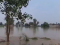 Punjab Floods: Death Toll Rises to 46, Three More Lives Lost in Amritsar and Rupnagar - Hindi News | Punjab Floods: Death Toll Rises to 46, Three More Lives Lost in Amritsar and Rupnagar | Latest national News at Lokmattimes.com