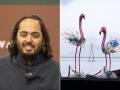Anant Ambani's Vantara Launches Wildlife Sculptures in Mumbai to Raise Awareness On Plastic Pollution - Hindi News | Anant Ambani's Vantara Launches Wildlife Sculptures in Mumbai to Raise Awareness On Plastic Pollution | Latest mumbai News at Lokmattimes.com