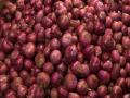 Price of onions increases in Nagpur and Bhopal - Hindi News | Price of onions increases in Nagpur and Bhopal | Latest national News at Lokmattimes.com