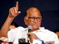 Sharad Pawar seek Centre's intervention as Karnataka - Maharashtra border dispute intensifies - Hindi News | Sharad Pawar seek Centre's intervention as Karnataka - Maharashtra border dispute intensifies | Latest maharashtra News at Lokmattimes.com