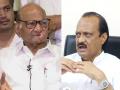 Ajit Pawar postpones Delhi visit, Sharad Pawar to meet Shah - Hindi News | Ajit Pawar postpones Delhi visit, Sharad Pawar to meet Shah | Latest maharashtra News at Lokmattimes.com