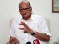 Bengal Congress slams Sharad Pawar over his advice to state Congress president - Hindi News | Bengal Congress slams Sharad Pawar over his advice to state Congress president | Latest maharashtra News at Lokmattimes.com