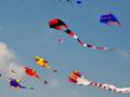Dos and Don’ts To Follow While Flying Kites During Uttarayan - Hindi News | Dos and Don’ts To Follow While Flying Kites During Uttarayan | Latest lifestyle News at Lokmattimes.com