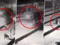 Solapur Hit-and-Run: Truck Runs Over Toll Plaza Worker in Maharashtra; Shocking Video Emerges - Hindi News | Solapur Hit-and-Run: Truck Runs Over Toll Plaza Worker in Maharashtra; Shocking Video Emerges | Latest maharashtra News at Lokmattimes.com