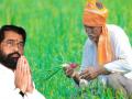 Maharashtra govt to introduce CM Kisan Sanman Nidhi Yojana - Hindi News | Maharashtra govt to introduce CM Kisan Sanman Nidhi Yojana | Latest maharashtra News at Lokmattimes.com
