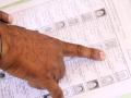 Thane collector seeks help of political parties in summary revision of electoral rolls - Hindi News | Thane collector seeks help of political parties in summary revision of electoral rolls | Latest maharashtra News at Lokmattimes.com