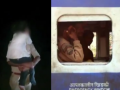 VIDEO: 8-Year-Old Girl Falls from Moving Train While Traveling to Vrindavan in Uttar Pradesh; Rescued After 16 km Search - Hindi News | VIDEO: 8-Year-Old Girl Falls from Moving Train While Traveling to Vrindavan in Uttar Pradesh; Rescued After 16 km Search | Latest national News at Lokmattimes.com