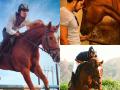 Randeep Hooda Pens Heartfelt Tribute to His Beloved Horse, Ranji, Who Passed Away at 23 - Hindi News | Randeep Hooda Pens Heartfelt Tribute to His Beloved Horse, Ranji, Who Passed Away at 23 | Latest entertainment News at Lokmattimes.com
