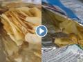 Gujarat: Woman Finds Dead Frog Inside Wafer Packet, Shocking Video Goes Viral - Hindi News | Gujarat: Woman Finds Dead Frog Inside Wafer Packet, Shocking Video Goes Viral | Latest social-viral News at Lokmattimes.com