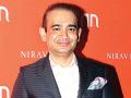 Nirav Modi's sister Purvi, remits Rs 17.25 crore after turning approver in PNB scam - Hindi News | Nirav Modi's sister Purvi, remits Rs 17.25 crore after turning approver in PNB scam | Latest international News at Lokmattimes.com