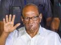 Sharad Pawar slams Maha govt for ignoring plight of rain hit farmers - Hindi News | Sharad Pawar slams Maha govt for ignoring plight of rain hit farmers | Latest maharashtra News at Lokmattimes.com