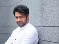 Prabhas Announces The Script Craft International Short Film Festival - Hindi News | Prabhas Announces The Script Craft International Short Film Festival | Latest entertainment News at Lokmattimes.com