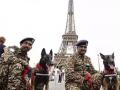 Bengaluru's Two K9 Dogs From CRPF Arrive In Paris Provide Security For Olympics 2024 - Hindi News | Bengaluru's Two K9 Dogs From CRPF Arrive In Paris Provide Security For Olympics 2024 | Latest national News at Lokmattimes.com