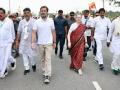 Maharashtra: Artists extend support to Rahul Gandhi's Bharat Jodo Yatra - Hindi News | Maharashtra: Artists extend support to Rahul Gandhi's Bharat Jodo Yatra | Latest maharashtra News at Lokmattimes.com