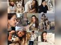 Pawprints of Love: From Alia Bhatt to Kriti Kharbanda Bollywood Actresses Who Share Their Lives with Pets - Hindi News | Pawprints of Love: From Alia Bhatt to Kriti Kharbanda Bollywood Actresses Who Share Their Lives with Pets | Latest entertainment News at Lokmattimes.com