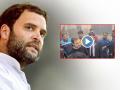 Rahul Gandhi's Unannounced Visit to Haryana Akhara Amidst Wrestling Federation Controversy - Hindi News | Rahul Gandhi's Unannounced Visit to Haryana Akhara Amidst Wrestling Federation Controversy | Latest national News at Lokmattimes.com