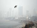 Mumbai Weather Update: Light to Moderate Rainfall Expected Today, Air Quality Drops to 'Unhealthy' Levels - Hindi News | Mumbai Weather Update: Light to Moderate Rainfall Expected Today, Air Quality Drops to 'Unhealthy' Levels | Latest mumbai News at Lokmattimes.com