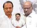 "Only he can explain the intention behind his word": Vijay Wadettiwar responds to Sharad Pawar's statement - Hindi News | "Only he can explain the intention behind his word": Vijay Wadettiwar responds to Sharad Pawar's statement | Latest maharashtra News at Lokmattimes.com