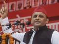 Samajwadi Party Releases List of Star Campaigners for Lok Sabha Election 2024 - Hindi News | Samajwadi Party Releases List of Star Campaigners for Lok Sabha Election 2024 | Latest national News at Lokmattimes.com