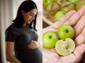 Can You Eat Amla During Pregnancy? Benefits, Risks, and Expert Tips - Hindi News | Can You Eat Amla During Pregnancy? Benefits, Risks, and Expert Tips | Latest health News at Lokmattimes.com