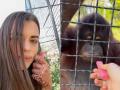 Russian Boxer Anastasia Luchkina Offers Puff to Orangutan, Faces Backlash After Video Goes Viral - Hindi News | Russian Boxer Anastasia Luchkina Offers Puff to Orangutan, Faces Backlash After Video Goes Viral | Latest social-viral News at Lokmattimes.com