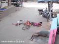 Andhra Pradesh: One Student Killed, Another Injured After Coming into Contact with Live Wire While Riding Bicycle (Watch Video) - Hindi News | Andhra Pradesh: One Student Killed, Another Injured After Coming into Contact with Live Wire While Riding Bicycle (Watch Video) | Latest national News at Lokmattimes.com