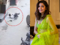 "To Highlight Both Sides”: Anushka Sharma Reacts to Viral Video of Street Dogs Saving Boy From Pit Bull Attack - Hindi News | "To Highlight Both Sides”: Anushka Sharma Reacts to Viral Video of Street Dogs Saving Boy From Pit Bull Attack | Latest entertainment News at Lokmattimes.com