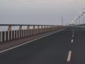 Navi Mumbai: 50-Year-Old Alibag School Teacher Dies by Suicide at Atal Setu Bridge After Falling Victim to Sextortion - Hindi News | Navi Mumbai: 50-Year-Old Alibag School Teacher Dies by Suicide at Atal Setu Bridge After Falling Victim to Sextortion | Latest navi-mumbai News at Lokmattimes.com