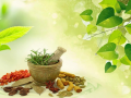 The Root Cause Approach in Ayurveda: Dr. Joshi’s Holistic Healing Philosophy - Hindi News | The Root Cause Approach in Ayurveda: Dr. Joshi’s Holistic Healing Philosophy | Latest health News at Lokmattimes.com