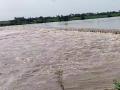 Maharashtra Rains: Flood-Like Situation In Solapur As Bhima River Crosses Danger Mark; Alert Sounded (Watch Video) - Hindi News | Maharashtra Rains: Flood-Like Situation In Solapur As Bhima River Crosses Danger Mark; Alert Sounded (Watch Video) | Latest maharashtra News at Lokmattimes.com