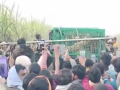 Uttar Pradesh: Man-Eating Leopard That Killed 7-Year-Old Boy in Bahraich Captured (Watch Video) - Hindi News | Uttar Pradesh: Man-Eating Leopard That Killed 7-Year-Old Boy in Bahraich Captured (Watch Video) | Latest national News at Lokmattimes.com