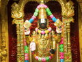 Tirupati: Balaji Mandir Receives Record Gold Donation Worth ₹140 Crore - Hindi News | Tirupati: Balaji Mandir Receives Record Gold Donation Worth ₹140 Crore | Latest national News at Lokmattimes.com