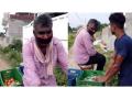 Shocking! TV serial 'Balika Vadhu' director sells veggies in UP's Azamgarh - Hindi News | Shocking! TV serial 'Balika Vadhu' director sells veggies in UP's Azamgarh | Latest entertainment News at Lokmattimes.com
