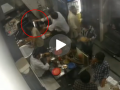 Mumbai: Man Stabbed Multiple Times in Bandra Hotel; Attack Caught on CCTV (VIDEO) - Hindi News | Mumbai: Man Stabbed Multiple Times in Bandra Hotel; Attack Caught on CCTV (VIDEO) | Latest mumbai News at Lokmattimes.com